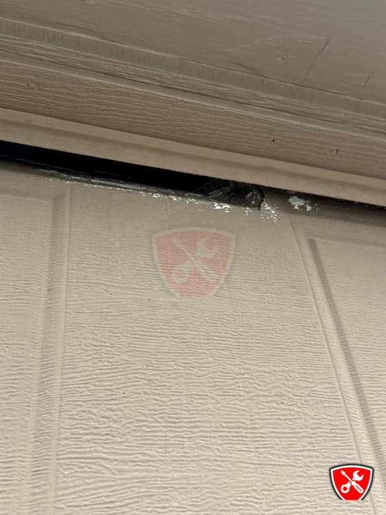 Garage Door Service in Forney, TX