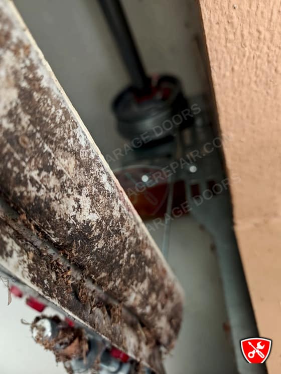 Garage Door Service in Lewisville, TX